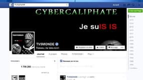 Piratage de TV5Monde: comment lutter contre le cyber-jihadisme?