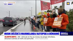 Mort de l'orque Inouk à Marineland: l'autopsie a démarré en Vendée