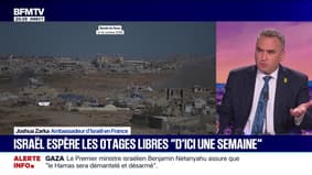 Paix imminente à Gaza: "Pour la première fois, le Hamas s'est senti en danger", observe Joshua Zarka, ambassadeur d'Israël en France