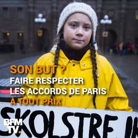 Greta Thunberg, 15 ans, en "grève scolaire" contre le réchauffement climatique