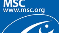 Label MSC