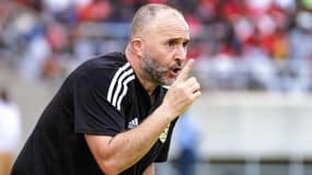 Djamel Belmadi donne des consignes pendant un match de l'Algérie, novembre 2023