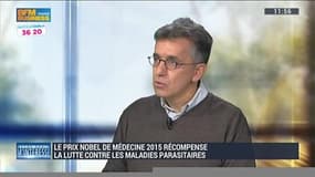 Prix Nobel de médecine 2015: Les traitements contre les maladies parasitaires à l'honneur - 10/10