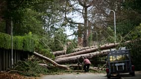 Des habitants découpent à la tronçonneuse des arbres tombés en travers d'une route pendant la tempête Arwen, le 27 novembre 2021 à Birkenhead, dans le nord-ouest du Royaume-Uni