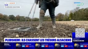 Plobsheim: ils chassent les trésors alsaciens