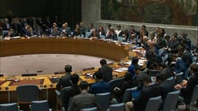 Syrie: après les frappes, un projet de résolution