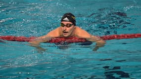Maxime Grousset lors des championnats de France de natation, le 1er novembre 2024.