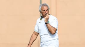 Vahid Halilhodzic