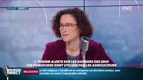 "Tous les 10 ans l'équivalent d'un département se bétonne": le plan du gouvernement pour revégétaliser le territoire français