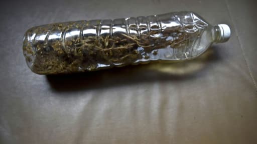 Une bouteille remplie d'alcool où macère de la marijuana à Mexico le 30 novembre 2015