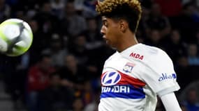 Willem Geubbels