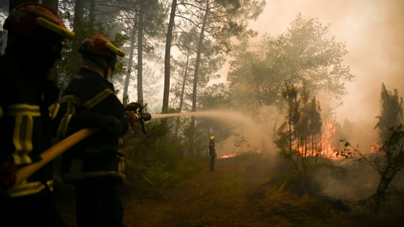 Incendies en Gironde: plus de 20.000 hectares brûlés, mais 