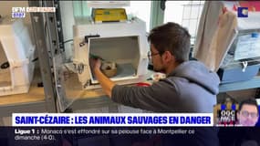 Saint-Cézaire-sur-Siagne: le manque d'eau inquiète le centre de soin pour animaux sauvages