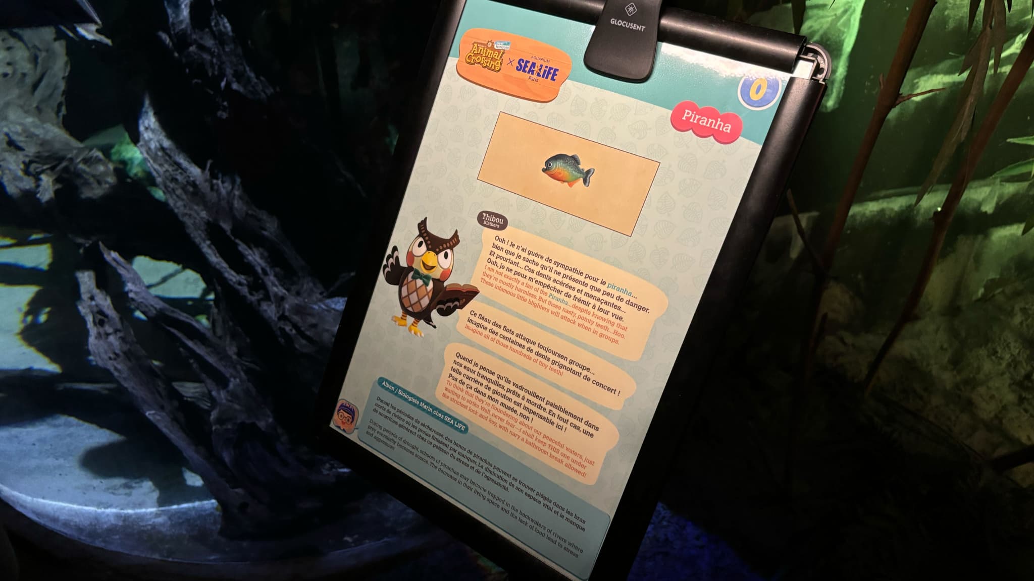 Animal Crossing à Sea Life Paris