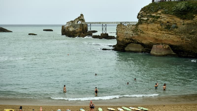 Une plage de Biarritz interdite à la baignade en raison d'une algue toxique