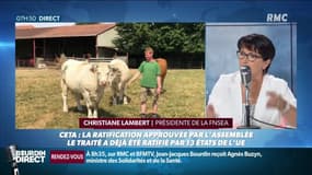 CETA : "La mobilisation et les actions vont se poursuivre" assure Christiane Lambert, présidente de la FNSEA