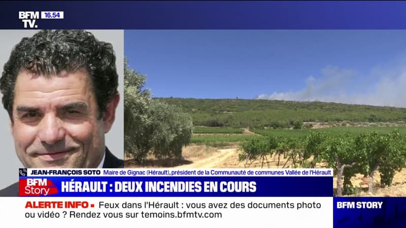 Incendies dans l'Hérault: le maire de Gignac suspecte une origine criminelle