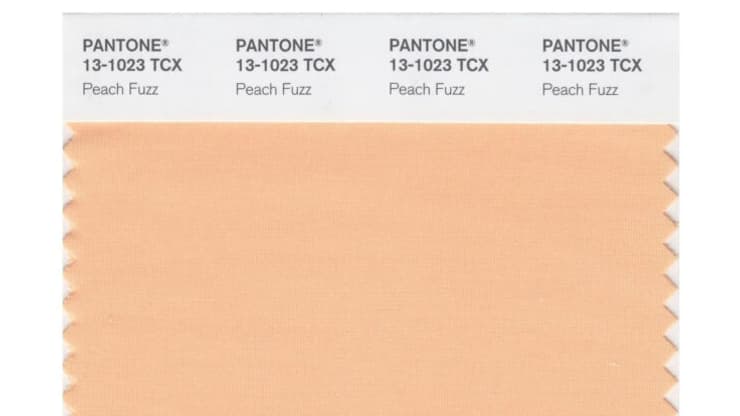 Peach Fuzz, couleur de l'année 2024 selon Pantone. Peach Fuzz, couleur de l'année 2024 selon Pantone.
