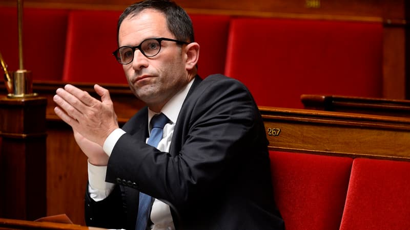 Benoît Hamon n'a pas été ému par les jets d'oeufs dont a été victime Emmanuel Macron.