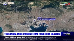 Toulon: deux dealers condamnés à un an de prison ferme