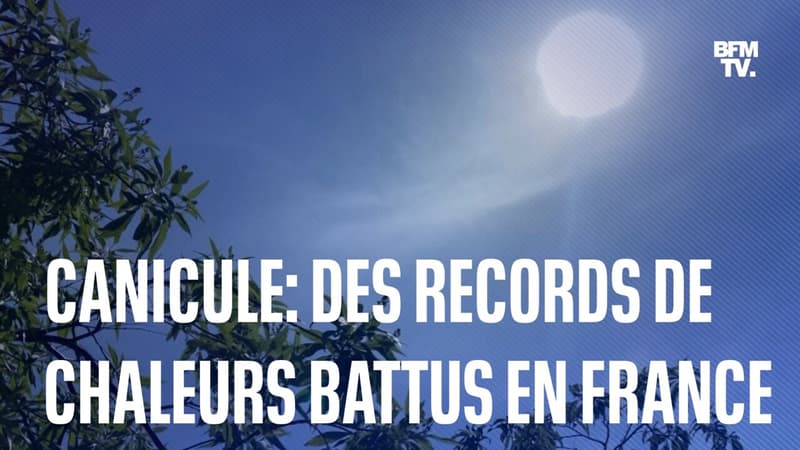 Canicule: des records de chaleur battus en France