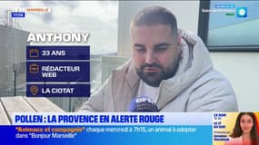 Pollen: la Provence en alerte rouge