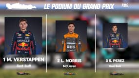 F1 - GP Hongrie : Hamilton croqué par les Red Bull,  nouveau dimanche noir pour les Français !