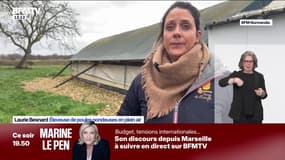 Œufs: les supermarchés se tournent vers les petits producteurs