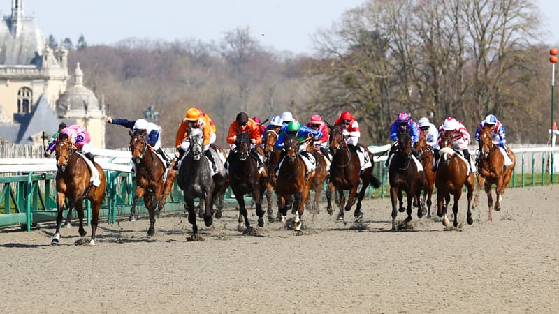 Les pronos hippiques du jeudi 28 mars 2024