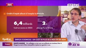 Emploi à domicile : "Les mesures ont permis de faire baisser le travail au noir"