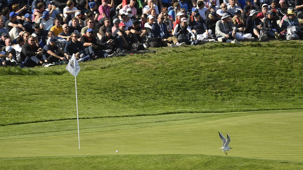 JO de Paris 2024 à un an des Jeux, le golf fait sa répétition générale