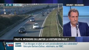 Brunet et Neumann: Pollution : faut-il interdire ou limiter la voiture en ville ? - 07/12 