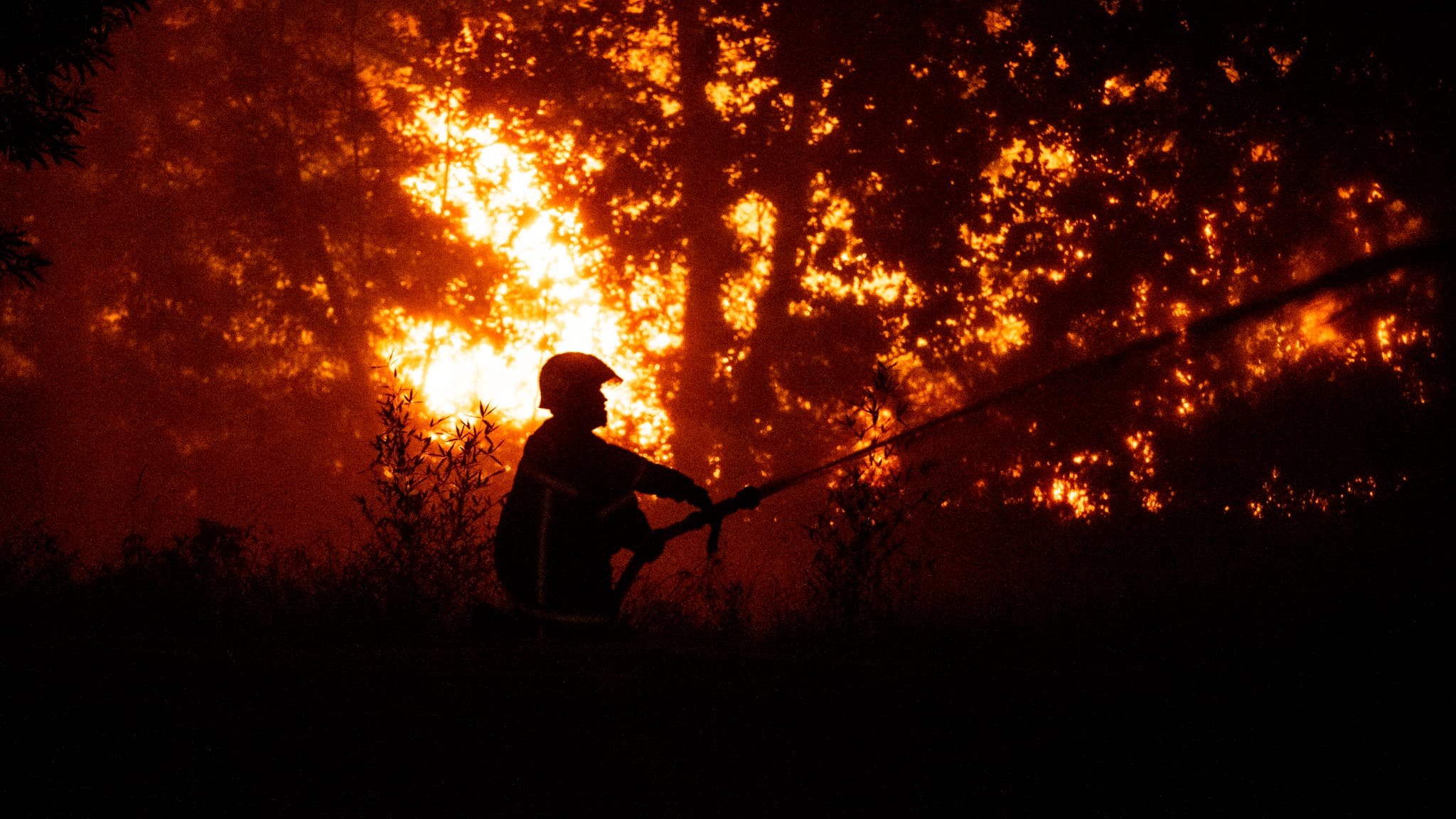 Feux de forêt: la gendarmerie dénombre 142 personnes interpellées en France depuis le 6 juillet