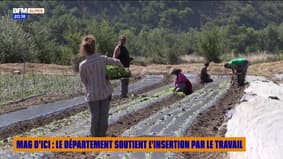 MAG D'ICI du mercredi 3 septembre - Le département soutient l'insertion par le travail