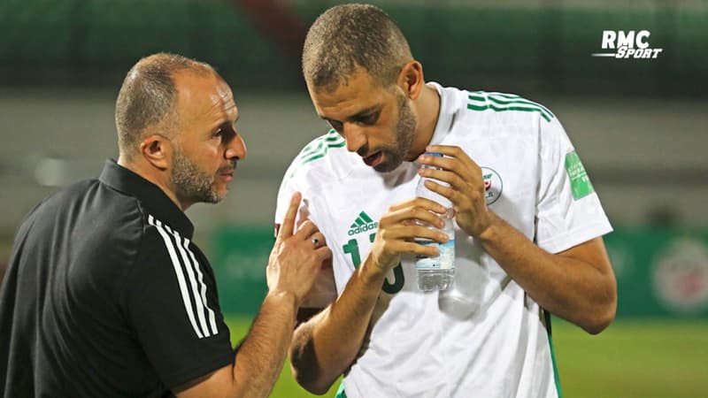 Algérie : Belmadi affirme que Nice a aussi demandé à Slimani de mettre l'Algérie entre parenthèses