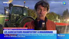 Agriculteurs mobilisés dans le Var: le vote contre le Mercosur est un "confortement par rapport à nos idées"