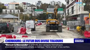 Cherbourg: les travaux du futur bus gênent l'activité des commerçants
