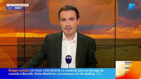 Bonsoir Normandie du lundi 24 novembre 2025
