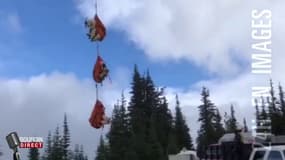 Des chèvres héliportées dans un parc aux Etats-Unis