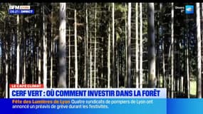 Le Café climat: comment investir dans une forêt?