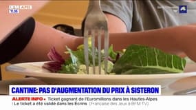 Sisteron : le prix de la cantine scolaire n'augmentera pas