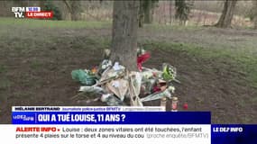 Meurtre de Louise: la petite fille présente quatre plaies sur le torse et quatre au niveau du cou