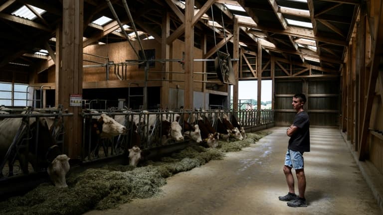 À BESANÇON, L'ÉVÉNEMENT VACHE DE SALON EST ANNULÉ À CAUSE DE LA DERMATOSE NODULAIRE