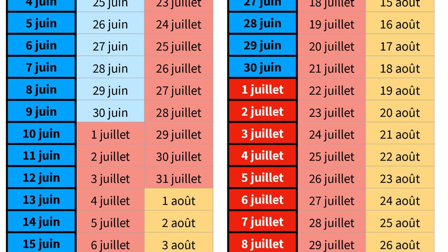 Infographie 1 juin - 16 juillet Infographie 1 juin - 16 juillet