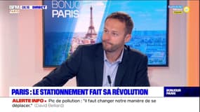 Pic de pollution: pour David Belliard, "ça prouve qu'il faut changer nos manières de nous déplacer"