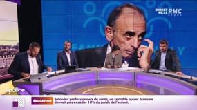 "Chochottes", "parti de notables"... Éric Zemmour égratigne les Républicains