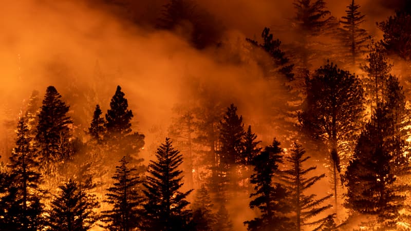 Des incendies ravages une forêt à Monrovia, en Californie, le 11 septembre 2020.