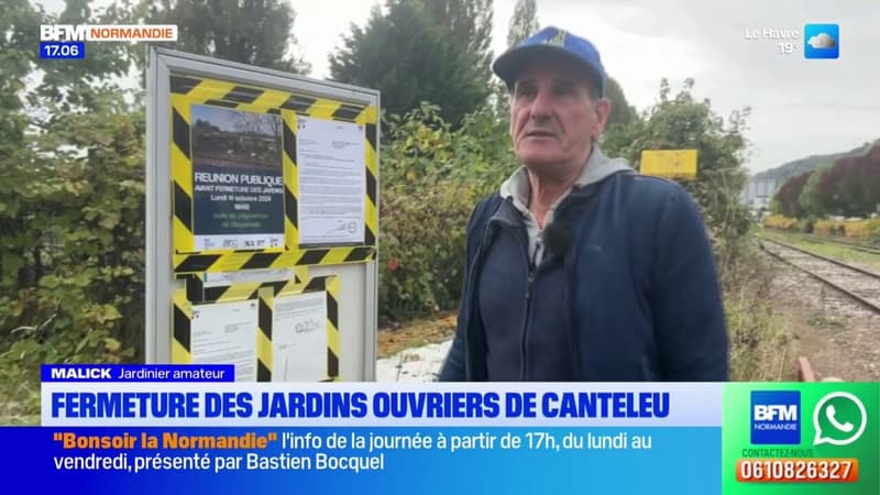 Canteleu: les jardins ouvriers vont être détruits en raison d'une forte pollution