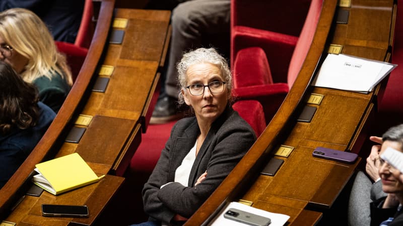 Publicité mensongère, tensions "organisées"... Après les cohues dans des Lidl, la députée écologiste Delphine Batho fait un signalement contre l'enseigne