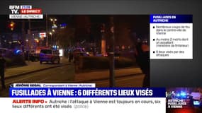 Fusillades à Vienne: six différents lieux visés, au moins deux morts dont l'un des assaillants